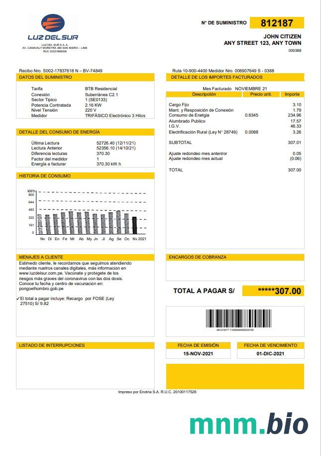 Peru Luz De Sur rachunek za media szablon w formacie Word i PDF, w pełni edytowalne